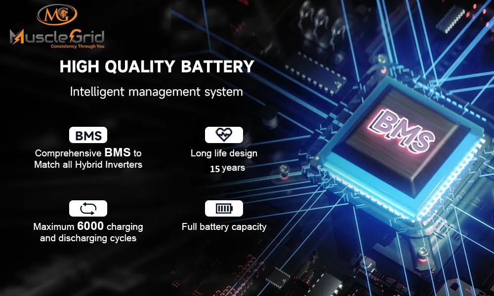MuscleGrid Lithium Battery, 120AH, Heavy Duty, LCD Display, 6000 Life Cycles, Black (51.2V Fully Smart)
